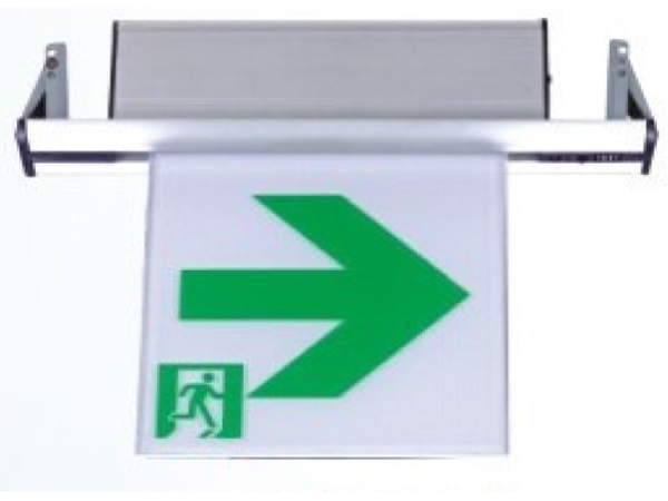Microsoft Word - Emergency Exit Light-ceiling recessed.docx